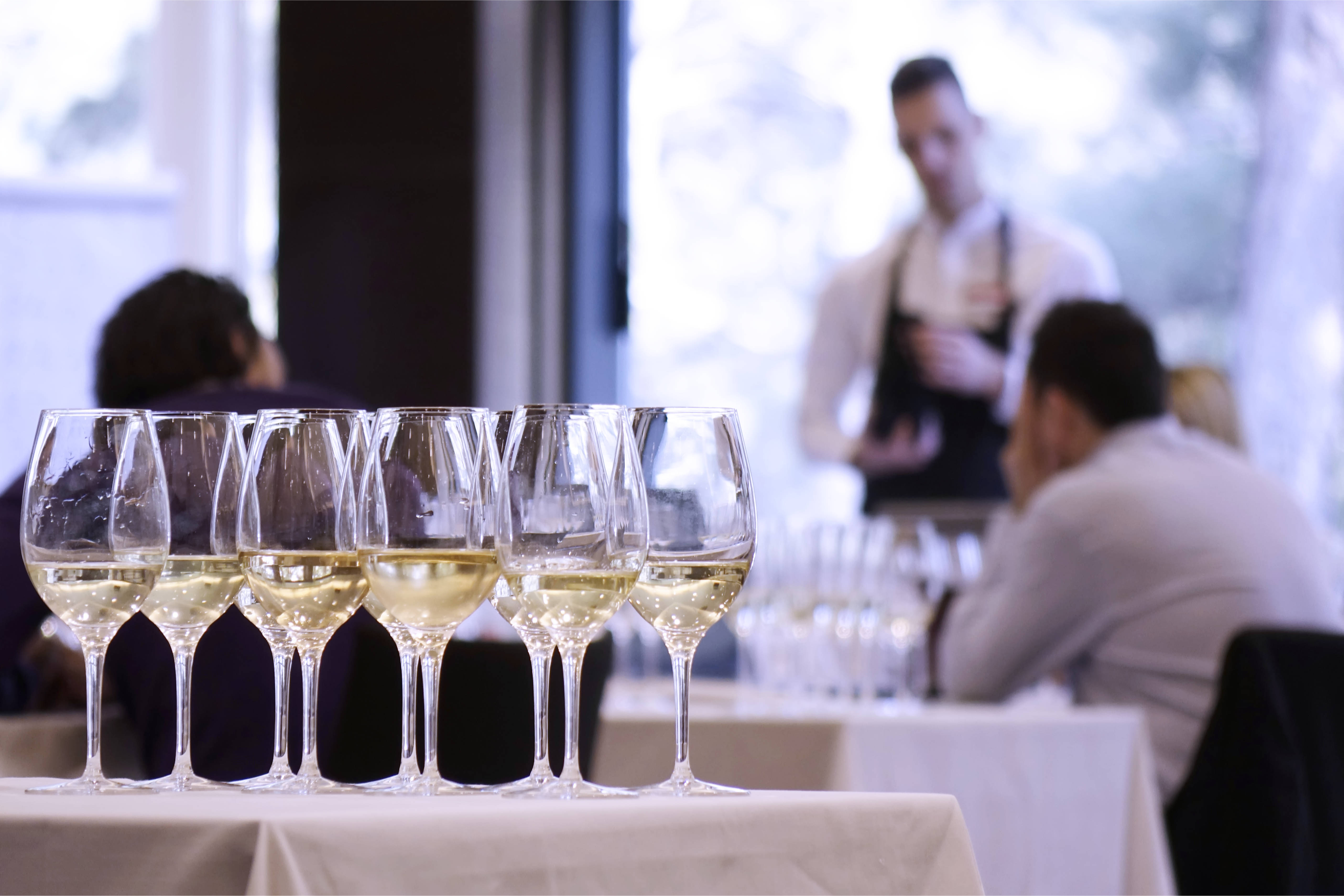 ISTARSKI VINARI SLOŽNI: 0,5 promila alkohola treba ostati gornja granica